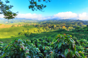 Colombia - natuur