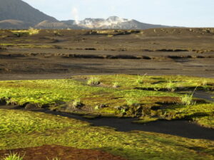 Vanuatu - vulkanisch landschap