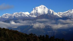 Dhaulagiri - berg