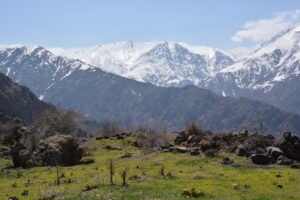 Iran - bergen