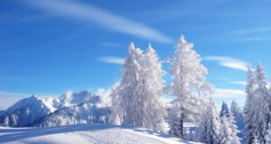 Mongolië - winter