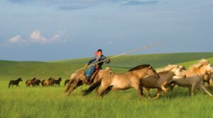 Mongolië - paardrijden