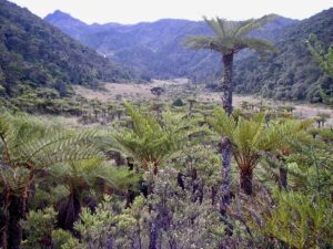 Papoea Nieuw Guinea - natuur
