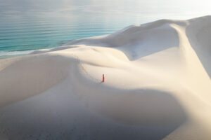 Socotra - natuur