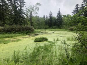 Japan-Hokkaidō - natuur