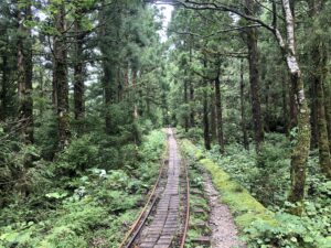 Kyushu - natuur